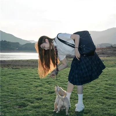 绿蝴蝶