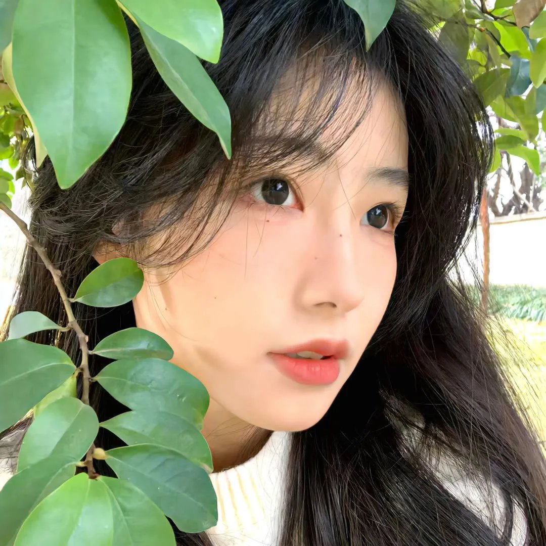 今日子和修一的故事